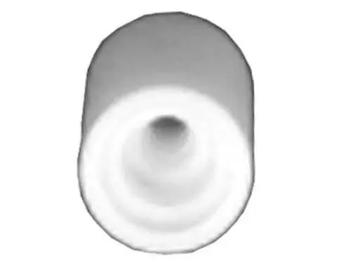 PTFE Insert